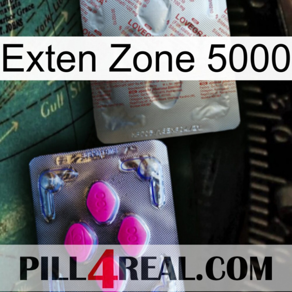 Exten Zone 5000 38.jpg